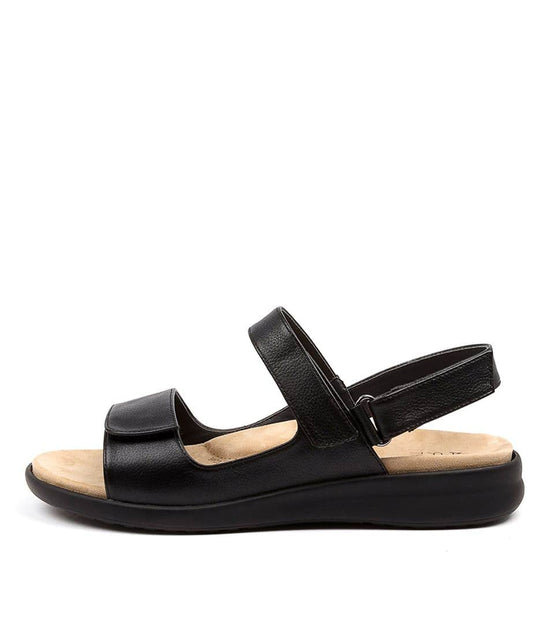 Black sandal with a black sole on a white background