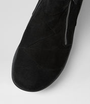 Sisley-XF